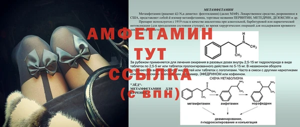 спайс Нея
