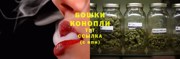спайс Нея