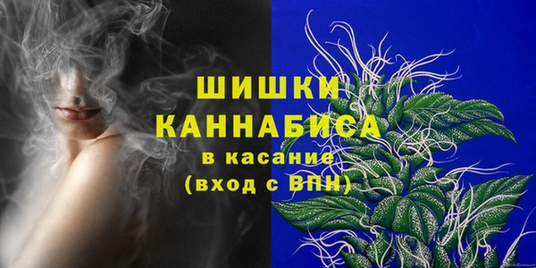 стаф Чита