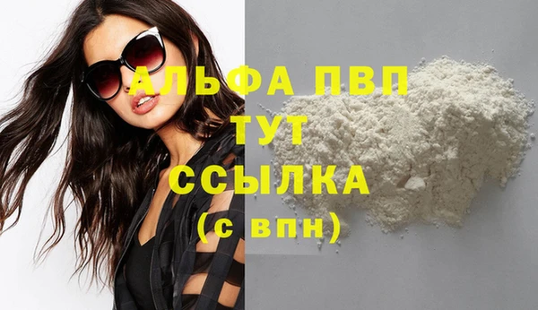 стаф Чита