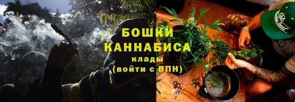 МДПВ Нефтегорск