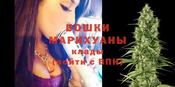 спайс Нея