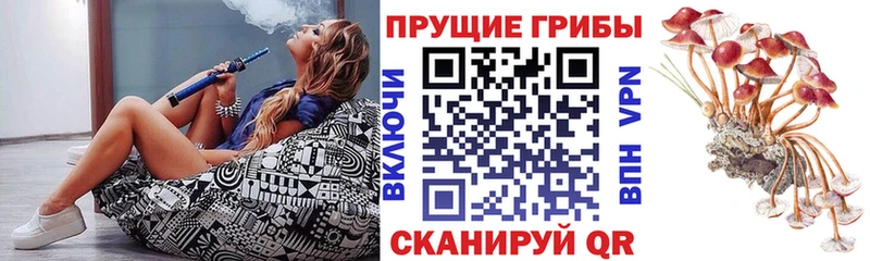 Галлюциногенные грибы прущие грибы  mega   Новочебоксарск  закладки 