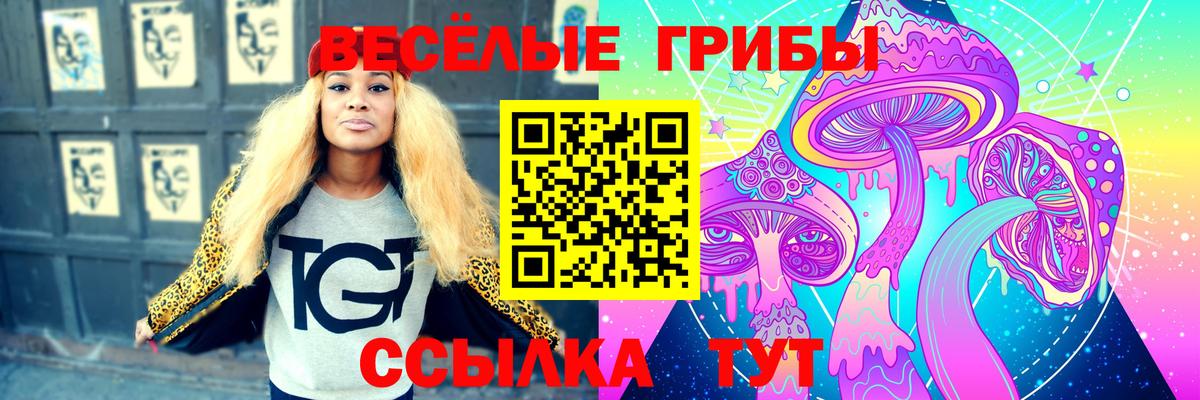 Новочебоксарск  Псилоцибиновые грибы мицелий  Вход с VPN  Псилоцибиновые грибы Magic Shrooms 