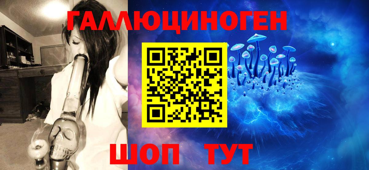 Псилоцибиновые грибы GOLDEN TEACHER Новочебоксарск