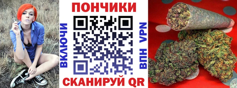где найти   OMG tor  МАРИХУАНА сатива  Новочебоксарск 