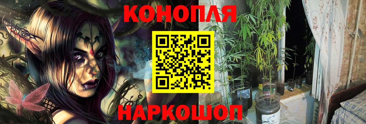 Каннабис SATIVA & INDICA  Новочебоксарск  Бошки марихуана конопля  Каннабис Ganja 